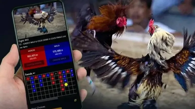 Bí Quyết Thắng Lớn Đá Gà ThienHaBet Hấp Dẫn Nhất 2025