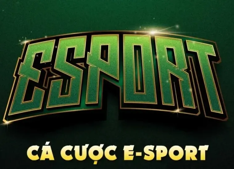 Hướng Dẫn Chơi Thể Thao Điện Tử ThienHaBet Thắng Lớn Nhanh Chóng 2025 2 Hướng Dẫn Chơi Thể Thao Điện Tử ThienHaBet Thắng Lớn Nhanh Chóng 2025